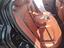 Immagine 13