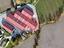 Immagine 11