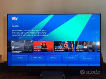 TV 65 pollici sky