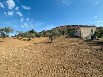 Campagna con terreni,appart.depositi e piscina