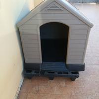 cuccia  cane 
