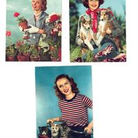 LOTTO N. 6 FOTO A COLORI DI  RAGAZZE – VINTAGE