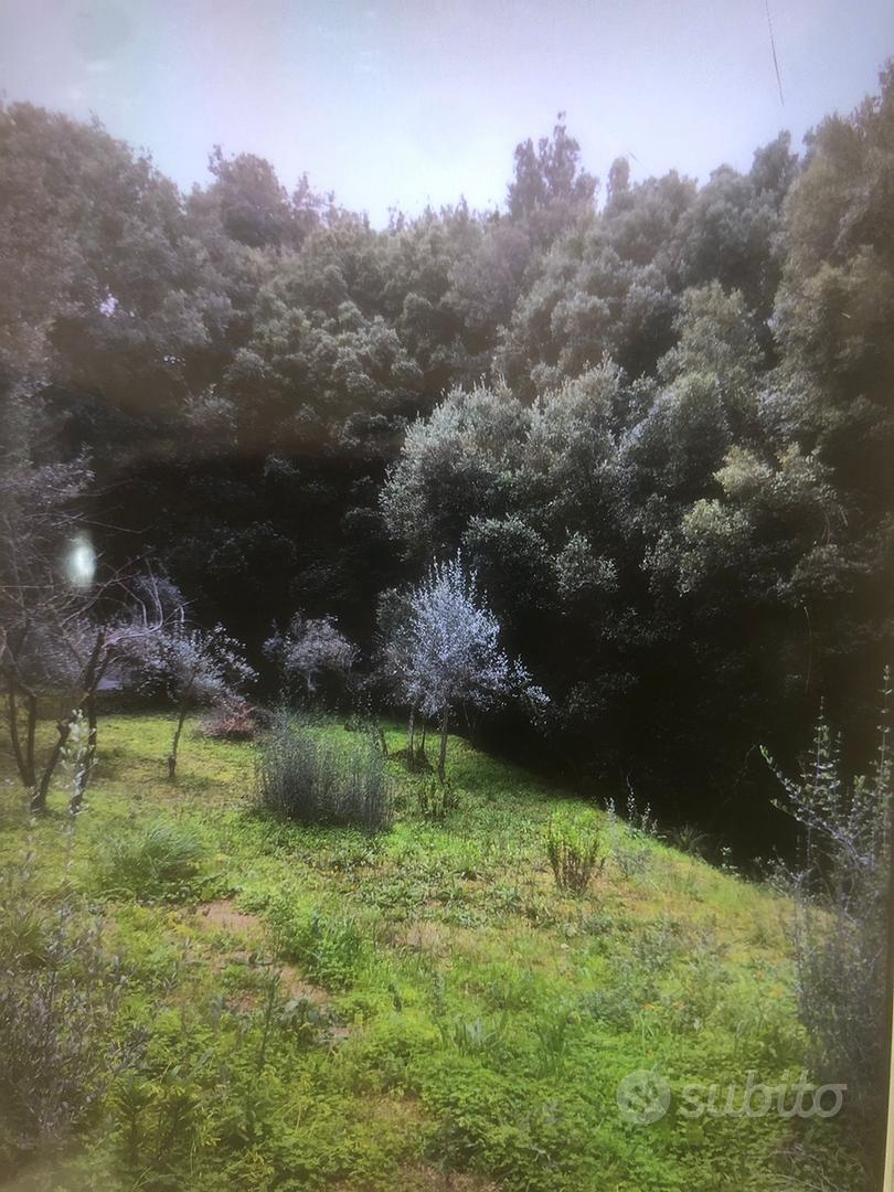 Terreno con casetta - View 4
