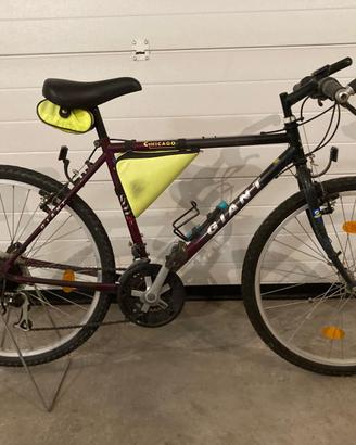 Bicicletta Mountain Bike GIANT C-HICAGO