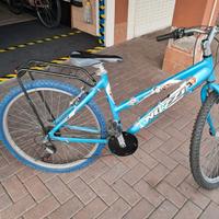 Mountain bike con ammortizzatore anteriore