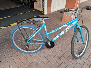 Mountain bike con ammortizzatore anteriore