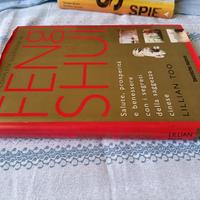 Feng Shui Antropocene Ailing Warhammer e altri