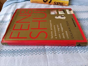 Feng Shui Antropocene Ailing Warhammer e altri