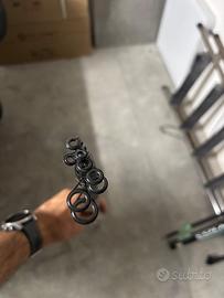 Canna colmic aliant match