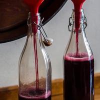 VINO CASARECCIO zona Velletri Consegna a domicilio