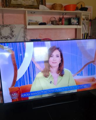 Hisense 55"