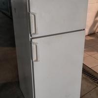 Frigorifero Rex Duetto 200