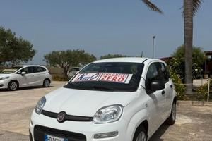 Fiat Panda Pandina 1.0 FireFly 65 CV Hybrid Icon
