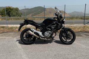 Suzuki gladius 650 - 19.000km