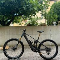Orbea wild LTD 650 km full colore custum