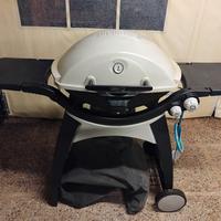 barbecue weber due fuochi q300