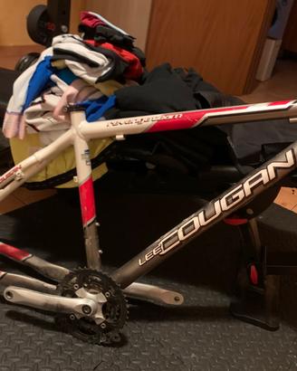 Telaio mtb vintage Lee cougan revenge team