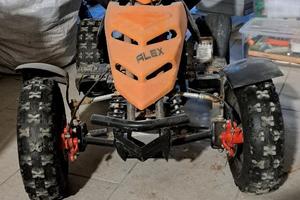Quad bimbi