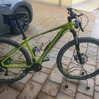 Bici MTB