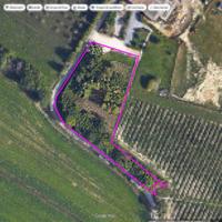 Oasi Verde a Rivoltella del Garda - Lotto Agricolo