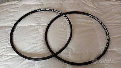 Ruote 700 (28', 29') con cerchi in alluminio