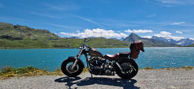 Harley Davidson shovelhead shovel head bobber