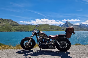 Harley Davidson shovelhead shovel head bobber