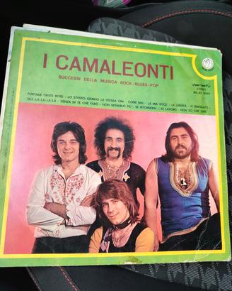 disco vinile 33 giri dei Camaleonti 