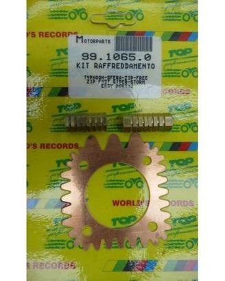 Kit raffreddamento per Piaggio Typhoon Sfera Zip F