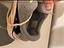 Immagine 6