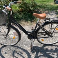 Bicicletta da donna Alpine retro