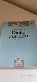 Compendio diritto pubblico Simone