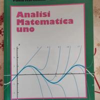 Libro analisi matematica 1