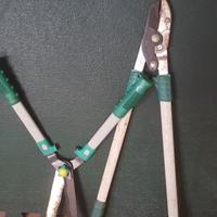 Forbici taglia cespugli