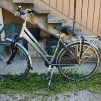 Bicicletta city uomo