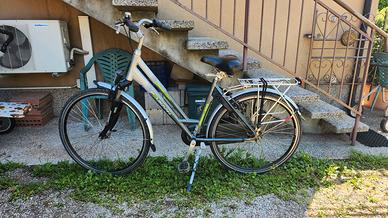 Bicicletta city uomo