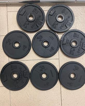 Dischi da 2 kg tot.16 kg D. 28