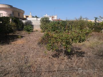 Terreno edificabile sava via trebbia 4