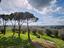 Immagine 18