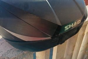 bauletto moto scooter