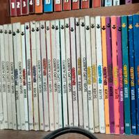 Lotto fumetti Lupo Alberto