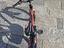 Immagine 3