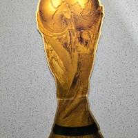 Cartonato Originale FIFA Coppa del Mondo 2006 