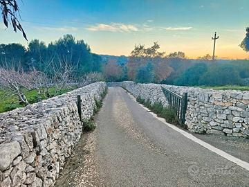 Terreno di 5105 m² a Putignano