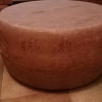 forme parmigiano finte 