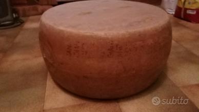 forme parmigiano finte 
