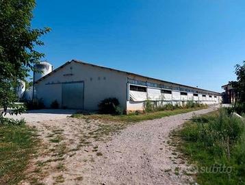RGE 131/2025 Tribunale Verona - Lotto 1)