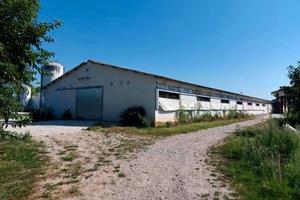 RGE 131/2025 Tribunale Verona - Lotto 1)