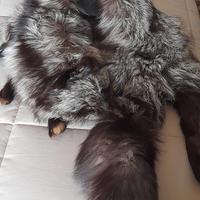 Renard vintage anni 30