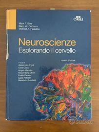 Neuroscienze - esplorando il cervello 
